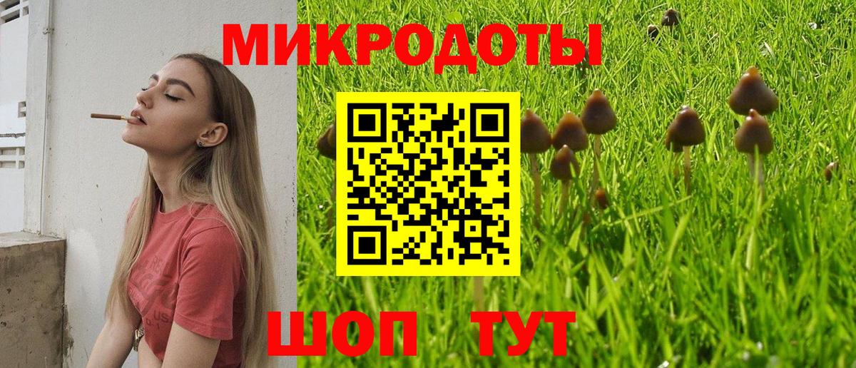 Галлюциногенные грибы GOLDEN TEACHER  Вход с VPN  Рязань 